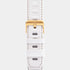Windsor Watch